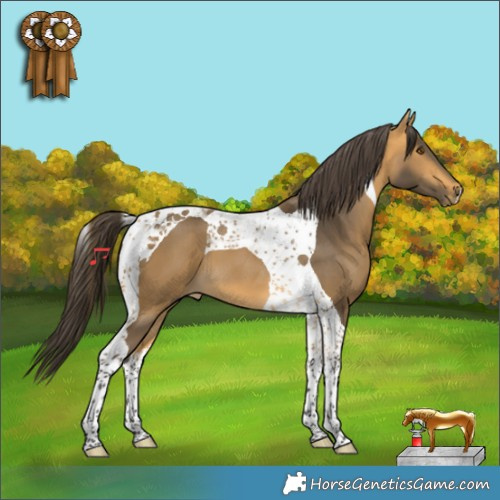 Horse Color:Buckskin Tobiano 