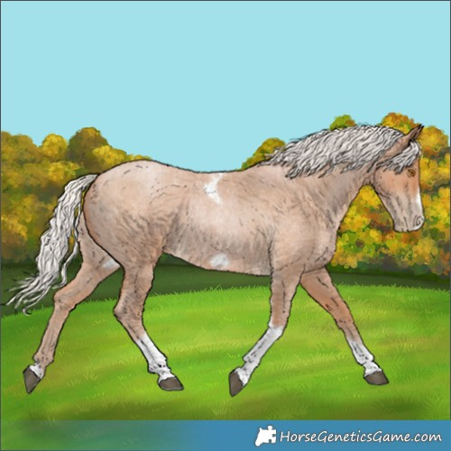 Horse Color:Silver Blue Roan Pearl Tobiano Frame