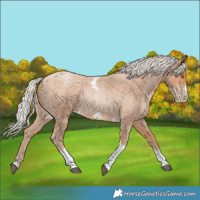 Horse Color:Silver Blue Roan Pearl Tobiano Frame 