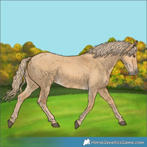 Horse Color:Red Dun 