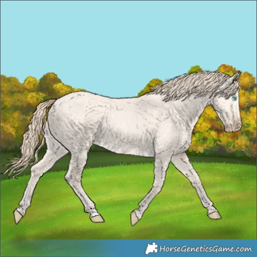 Horse Color:Perlino Dun 