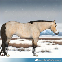 Horse Color:Gray Buckskin Roan Dun
