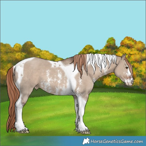 Horse Color:Liver Red Dun Sabino Tobiano Varnish 