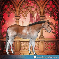 Horse Color:White Spotted Bay 
