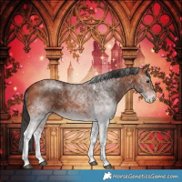 Horse Color:White Spotted Bay 