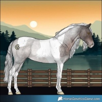Horse Color:Platinum Silver Brown Roan Tobiano 