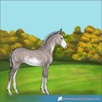Horse Color:Platinum White Spotted Silver Brown Dun