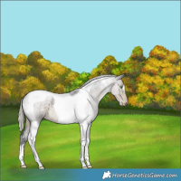 Horse Color:Silver Smoky Blue Roan Tobiano Varnish 