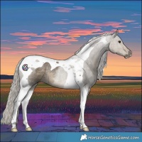 Horse Color:Silver Smoky Grullo Mushroom Tobiano Rabicano 