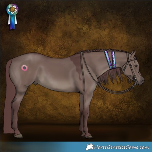 Horse Color:Chocolate Grullo 