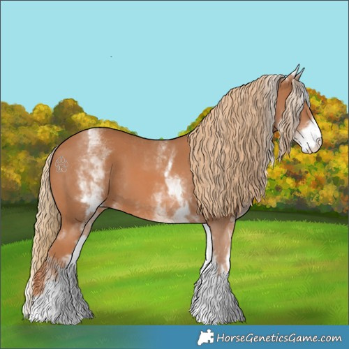 Horse Color:White Spotted Chestnut 