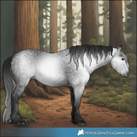 Horse Color:Gray Black 