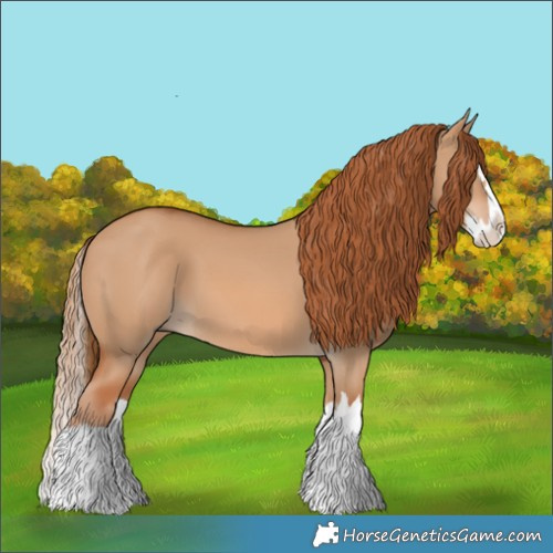 Horse Color:Red Dun Splash