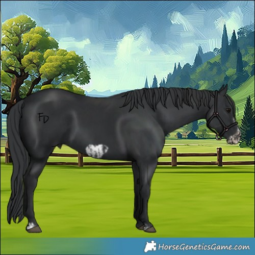 Horse Color:Black  and Black Frame 