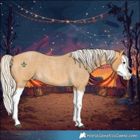 Horse Color:Silver Buckskin Roan Splash