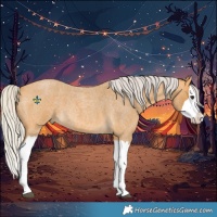 Horse Color:Silver Buckskin Roan Splash 