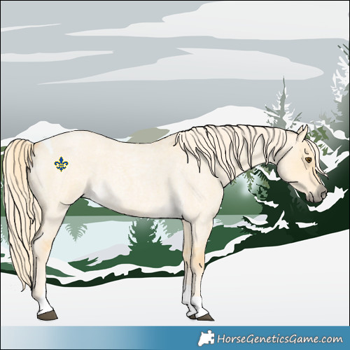 Horse Color:Palomino Roan Dun Tobiano 
