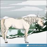Horse Color:Palomino Roan Dun Tobiano