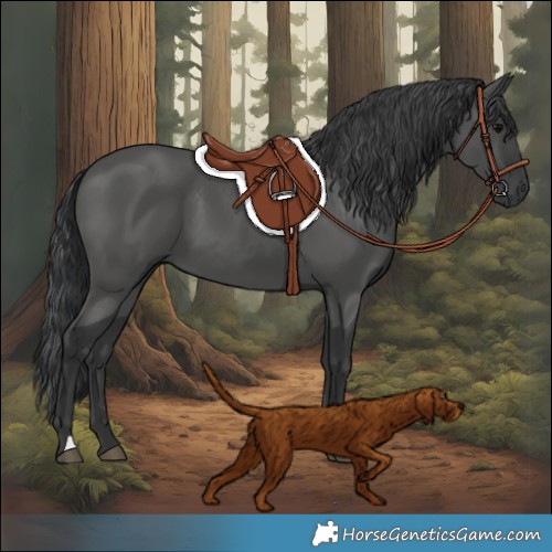 Horse Color:Black 