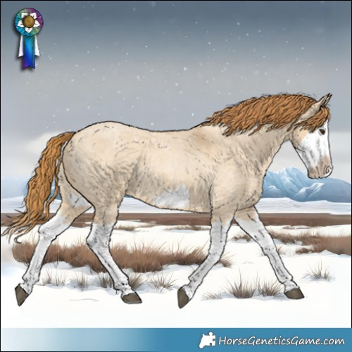 Horse Color:Red Dun Roan Splash Frame Rabicano 