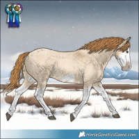 Horse Color:Red Dun Roan Splash Frame Rabicano 