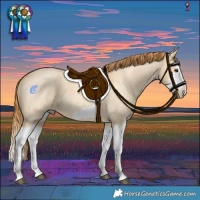 Horse Color:Red Dun Roan Splash Frame Rabicano