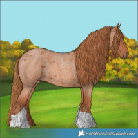 Horse Color:Red Roan Tobiano 