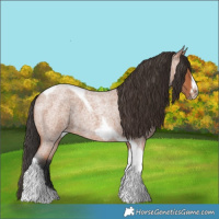 Horse Color:Bay Roan Tobiano Frame 