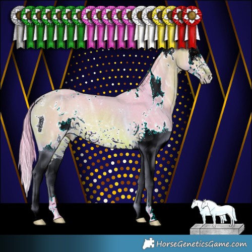 Horse Color:Watercolor White Spotted Bay Ice Splash Rabicano 