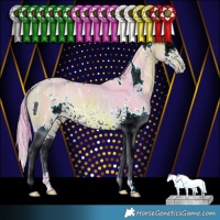 Horse Color:Watercolor White Spotted Bay Ice Splash Rabicano 