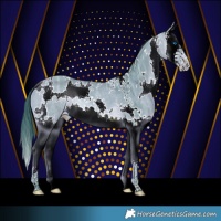 Horse Color:Watercolor White Spotted Bay Ice Splash Rabicano