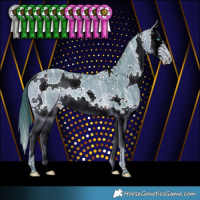 Horse Color:Watercolor White Spotted Bay Ice Splash Rabicano