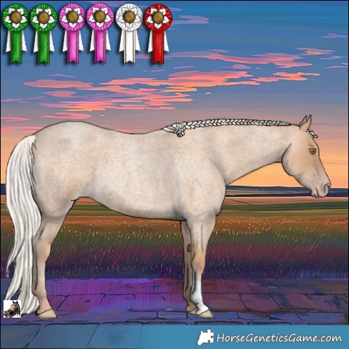 Horse Color:Silver Classic Champagne Roan 