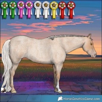 Horse Color:Silver Classic Champagne Roan 