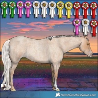 Horse Color:Silver Classic Champagne Roan 