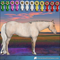 Horse Color:Silver Classic Champagne Roan