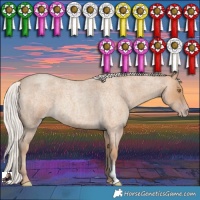 Horse Color:Silver Classic Champagne Roan