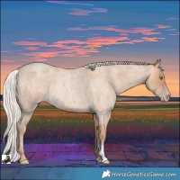 Horse Color:Silver Classic Champagne Roan 