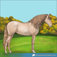 Horse Color:Gold Champagne Pearl Rabicano  and Gold Champagne Pearl Rabicano 