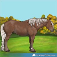Horse Color:Silver Black 