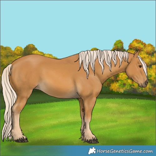 Horse Color:Palomino
