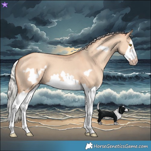 Horse Color:Silver Classic Champagne Dun Splash Frame