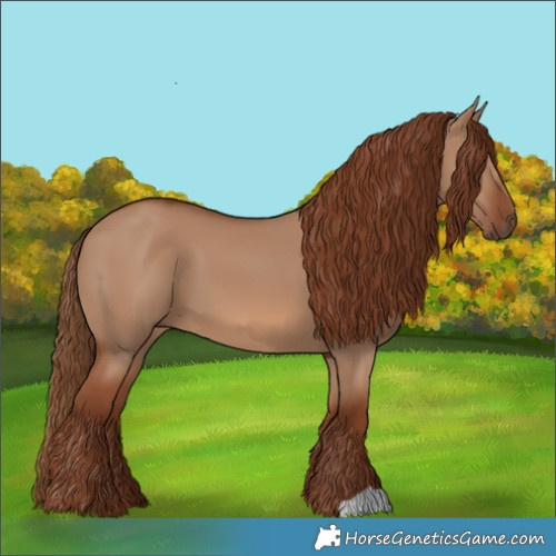 Horse Color:Red Dun
