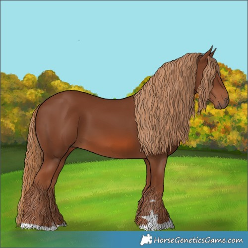 Horse Color:Chestnut 
