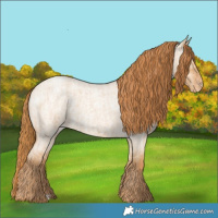 Horse Color:Red Dun Roan Varnish  and Red Dun Roan Varnish 