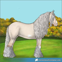 Horse Color:Silver Classic Champagne Dun Splash Frame 