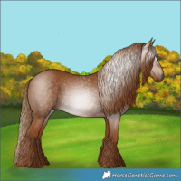 Horse Color:Gray Chestnut 