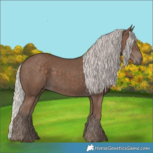 Horse Color:Silver Black 