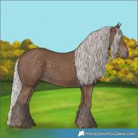 Horse Color:Silver Black 