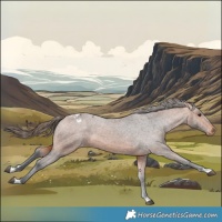 Horse Color:Bay Varnish  and Bay Varnish 